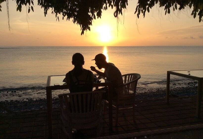 פנסיון Nalini Resort