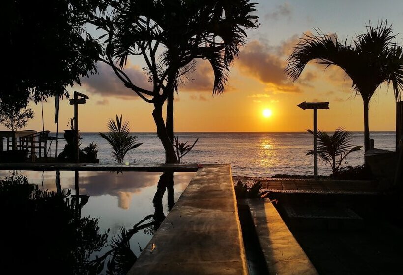 פנסיון Nalini Resort