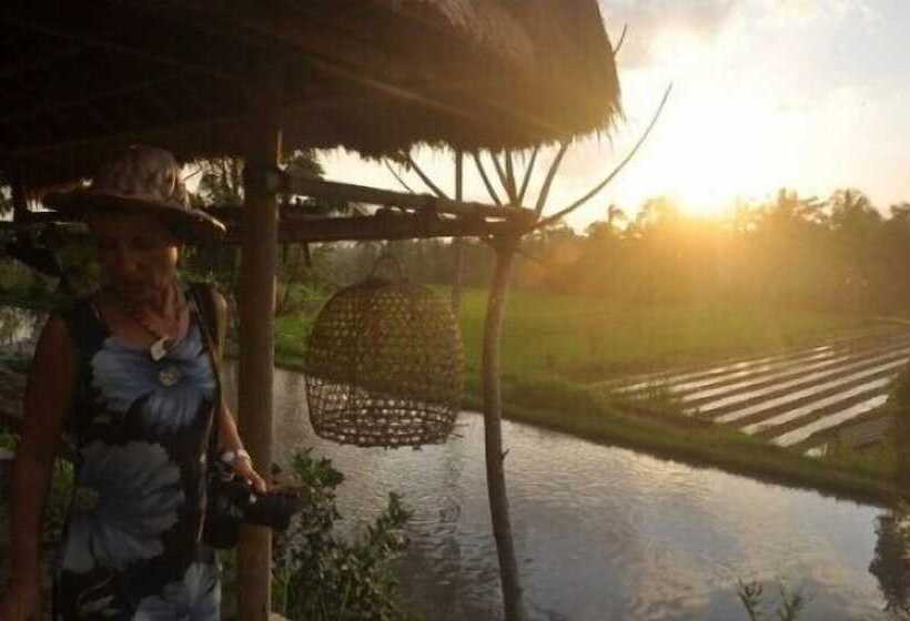 פנסיון Rumah Desa Bali