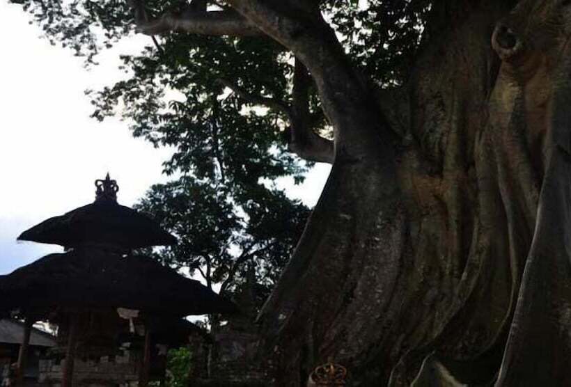 פנסיון Rumah Desa Bali