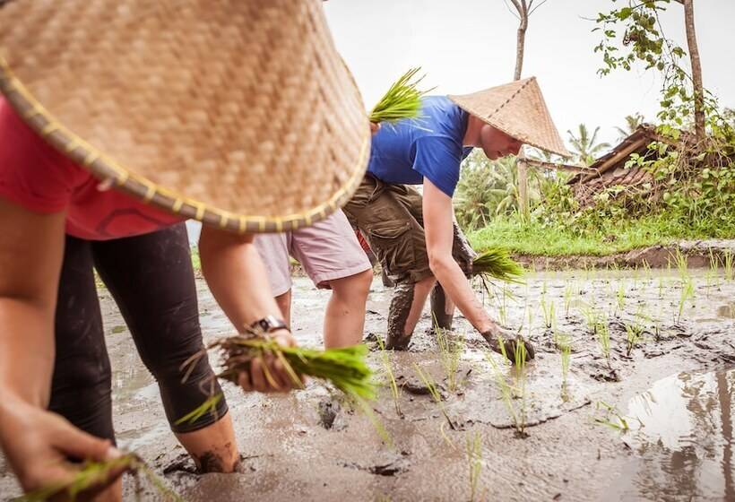 פנסיון Rumah Desa Bali