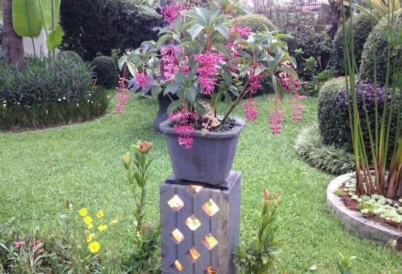 Пансион The Garden Family Guest House