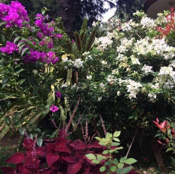 Пансион The Garden Family Guest House