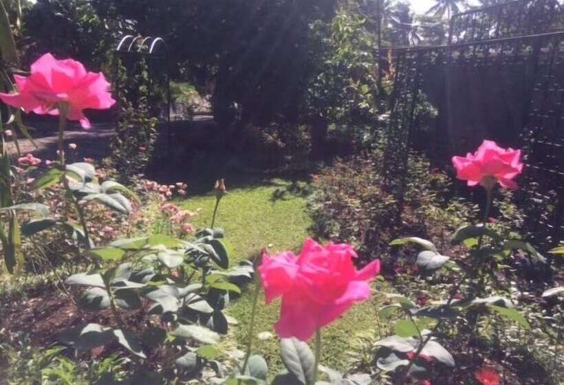 Пансион The Garden Family Guest House