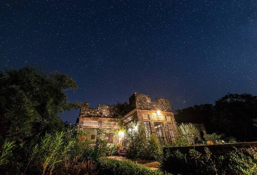 منتجع Ghanerao Jungle Lodge