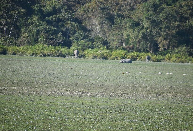 منتجع Sneha Bhawan