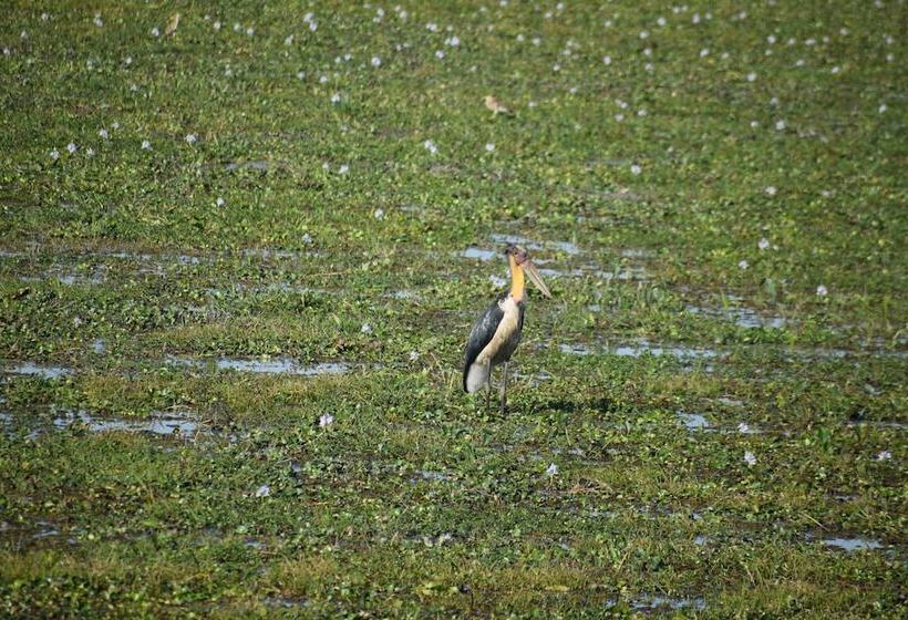 אתר נופש Sneha Bhawan