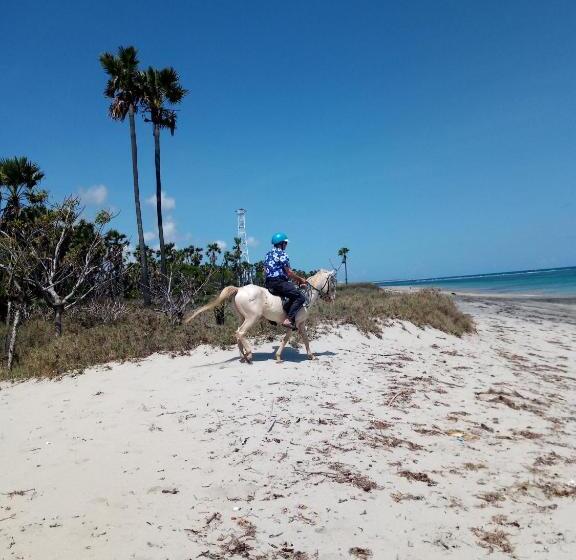 호스텔 Wajonata Sumba