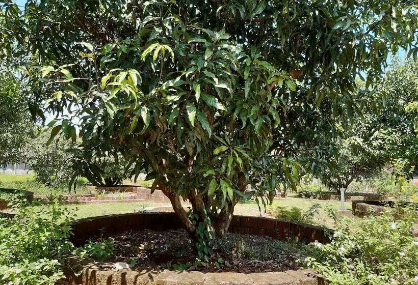 Aranya Kutir Resort   Hostel