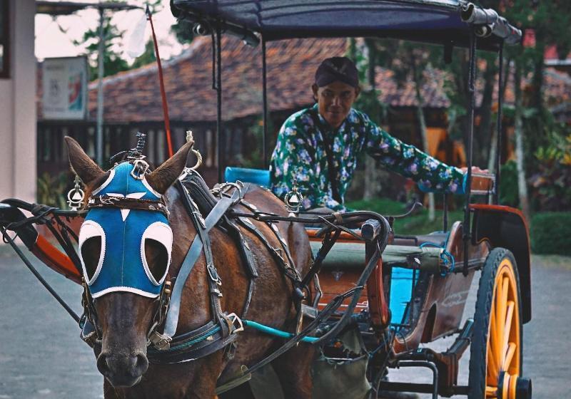 Borobudur Bed & Breakfast Hostel