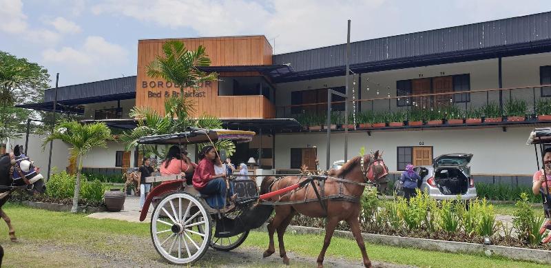 Borobudur Bed & Breakfast Hostel