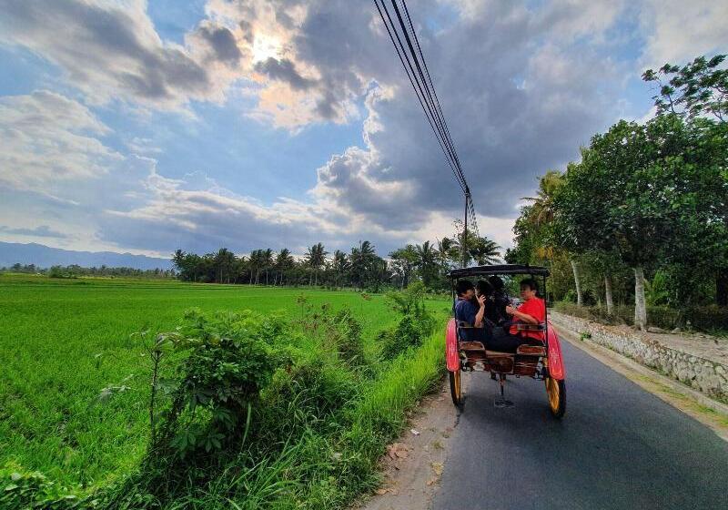 Borobudur Bed & Breakfast Hostel
