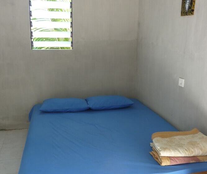 הוסטל Surfers Dorm House