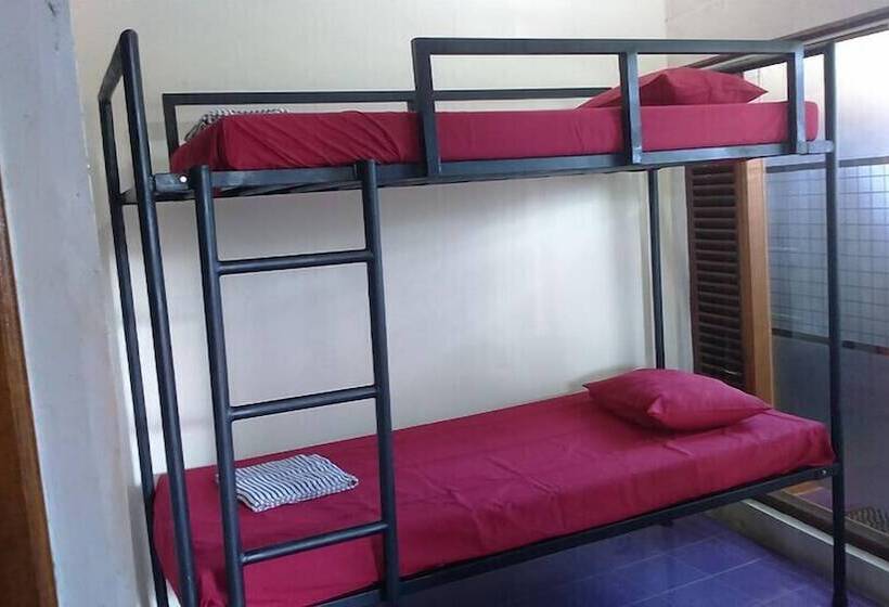 הוסטל Surfers Dorm House