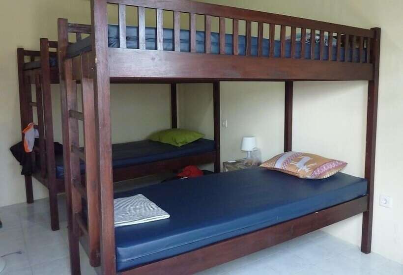 הוסטל Surfers Dorm House