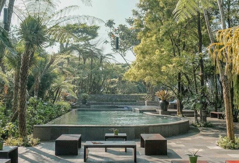 مبيت وإفطار Amaryllis Boutique Resort