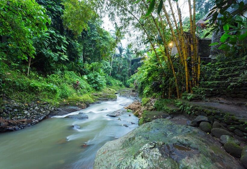 צימר Ani's Villas