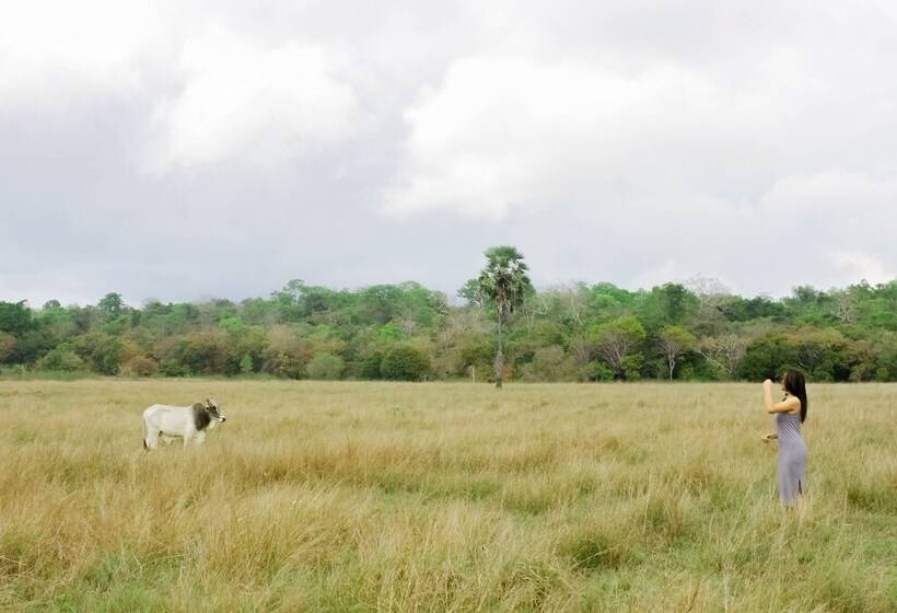 민박 Costa Beach Resort & Club