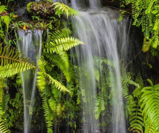 צימר Gunung Paradis Retreat