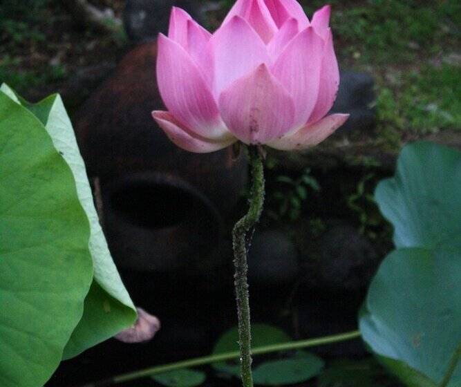 민박 Gunung Paradis Retreat