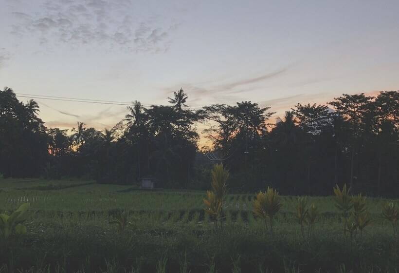 צימר Villa Neyang