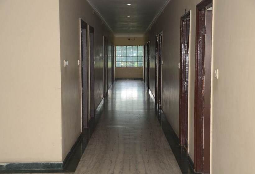 住宿加早餐  Pramod