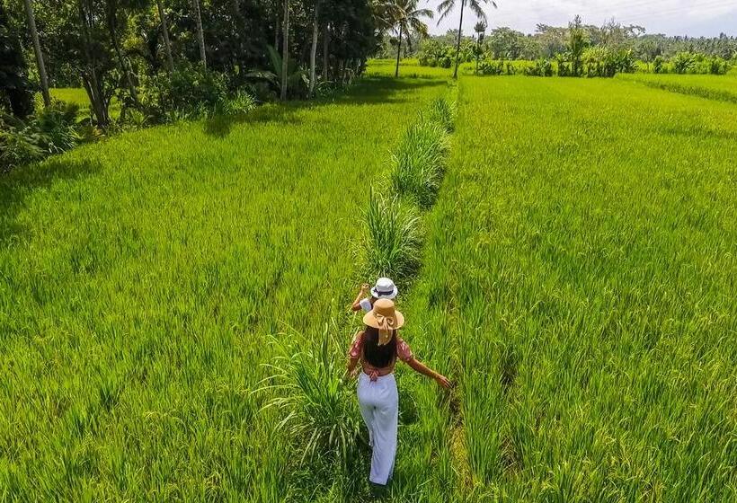 مبيت وإفطار Puri Lumbung Village