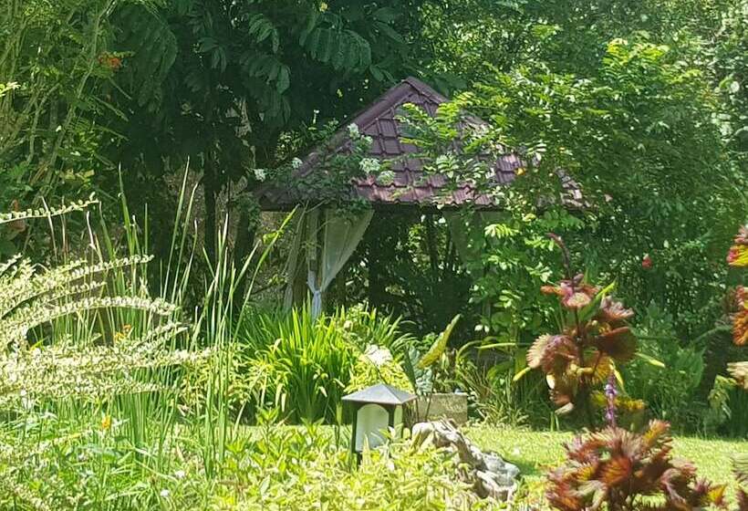 צימר Thousand Hills Ketambe ,room And Treking