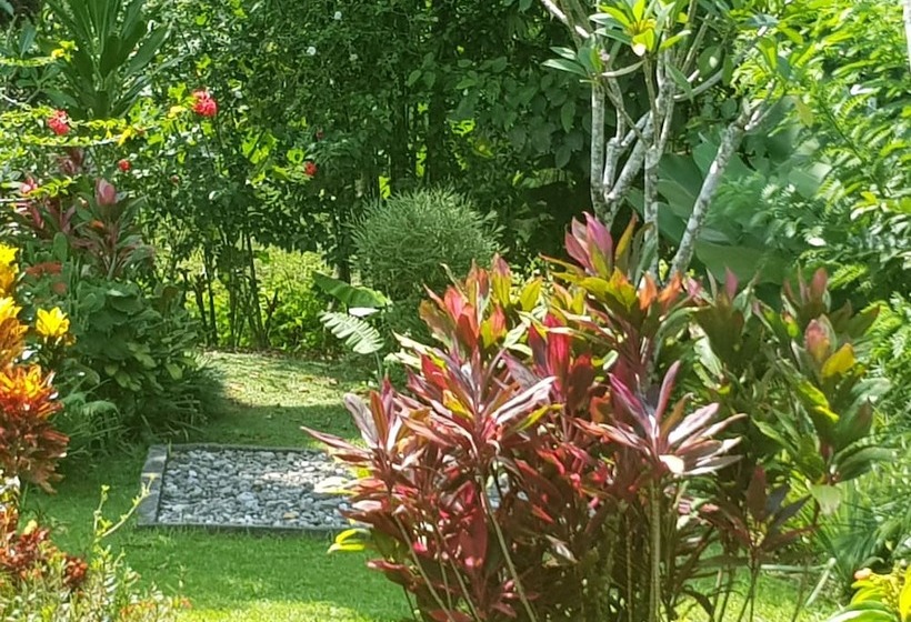 צימר Thousand Hills Ketambe ,room And Treking