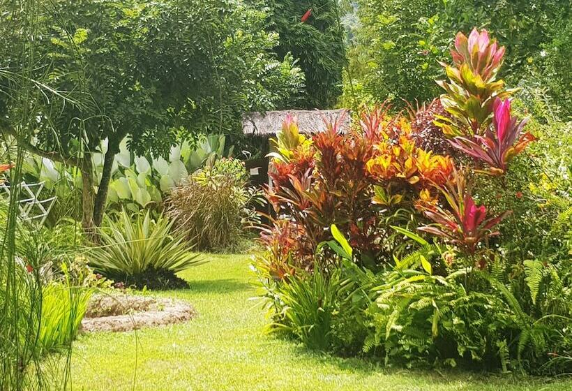 مبيت وإفطار Thousand Hills Ketambe ,room And Treking