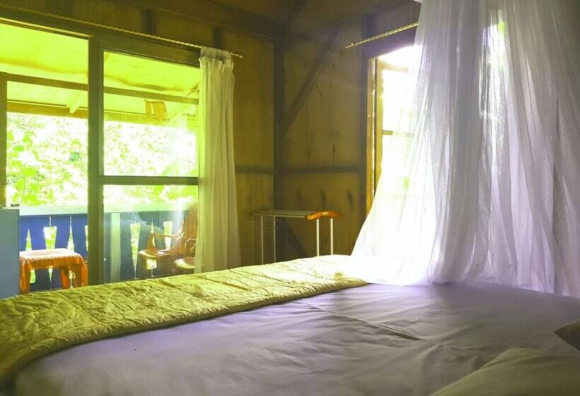 צימר Thousand Hills Ketambe ,room And Treking