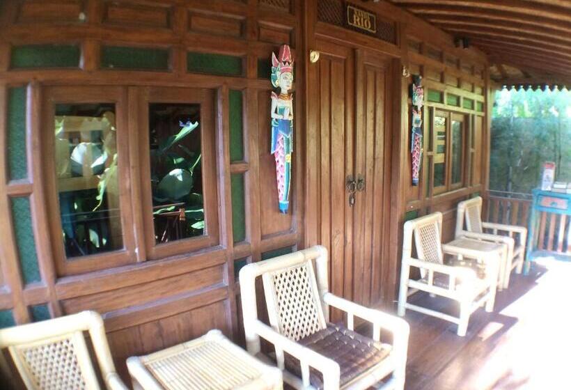 Green Paddy Hostel & Villa