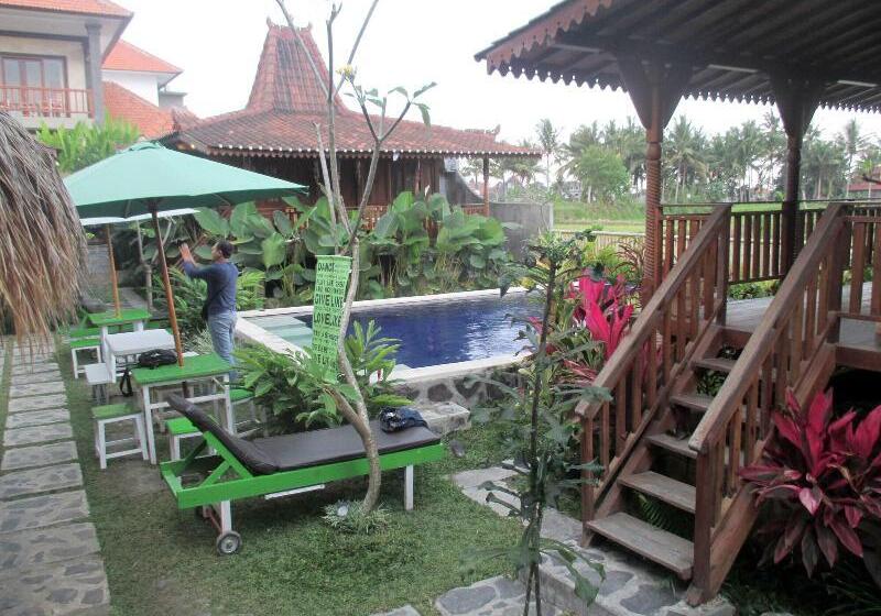Green Paddy Hostel & Villa