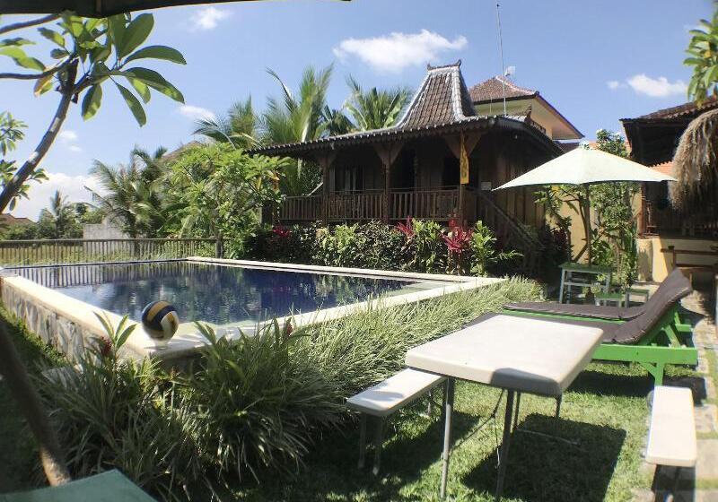 Green Paddy Hostel & Villa