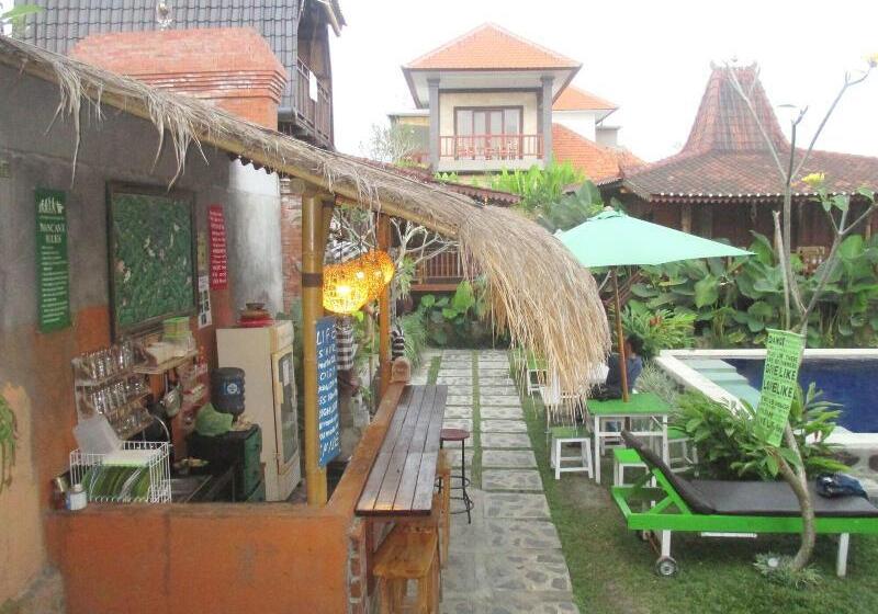 Green Paddy Hostel & Villa