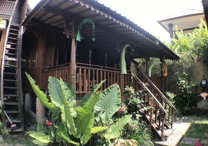 Green Paddy Hostel & Villa