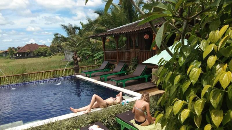 Green Paddy Hostel & Villa