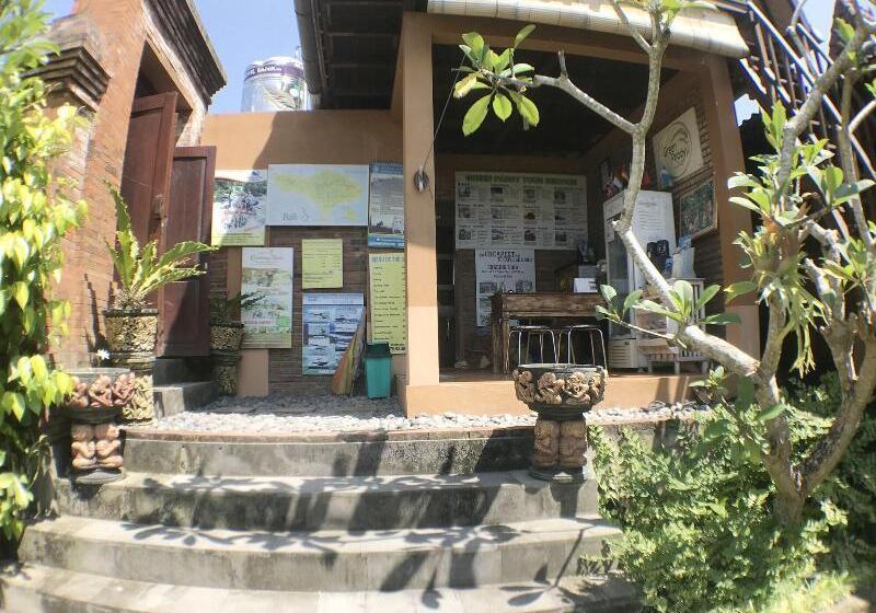 Green Paddy Hostel & Villa