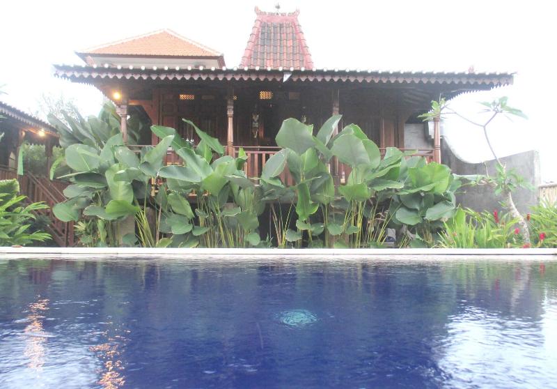 Green Paddy Hostel & Villa