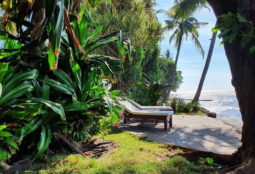 בית מלון כפרי Ciliks Beach Garden