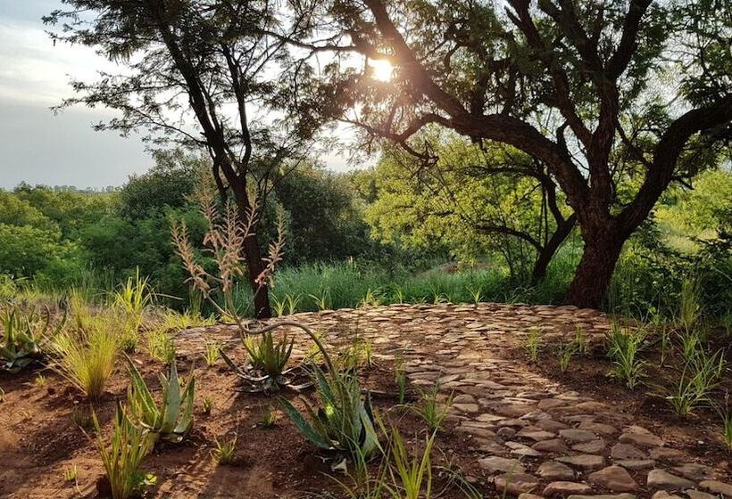 فندق Esther S Country Lodge