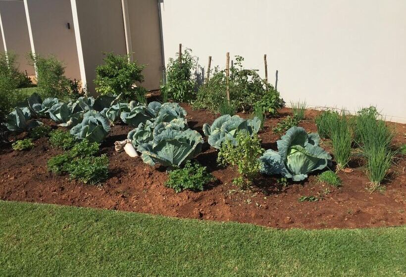 فندق Esther S Country Lodge