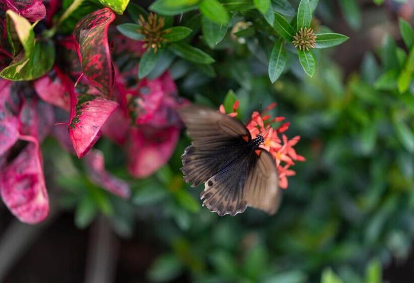 בית מלון כפרי Kubu Kangin Resort