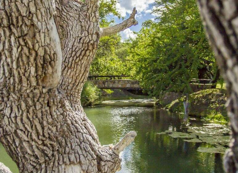 호텔 Littlebush Private Lodge