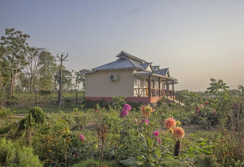 酒店 Resort Sonar Gaon By Oyo Rooms