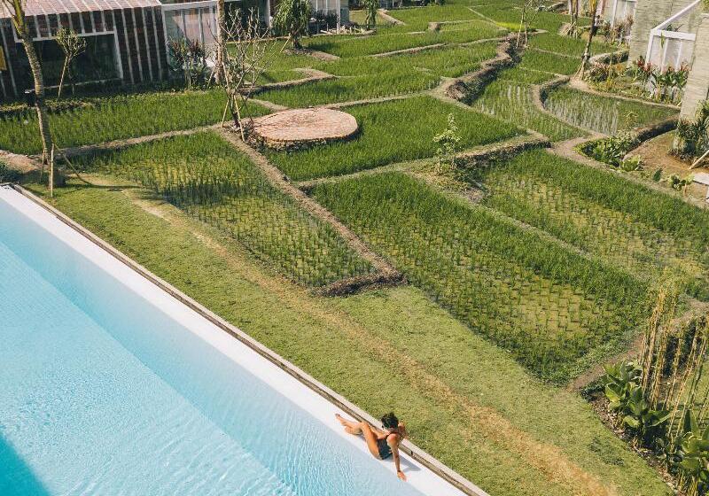 בית מלון כפרי Shore Amora Canggu