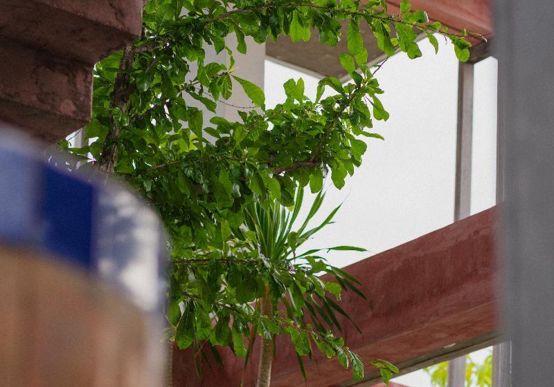 בית מלון כפרי Shore Amora Canggu