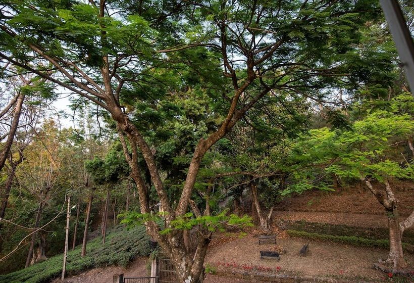 ホテル The Xanadu Frog Hill