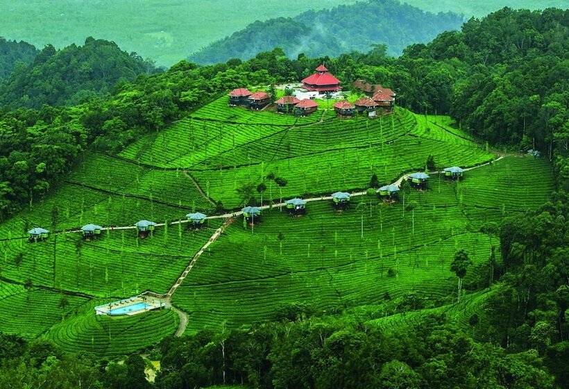 酒店 Wild Planet Resort