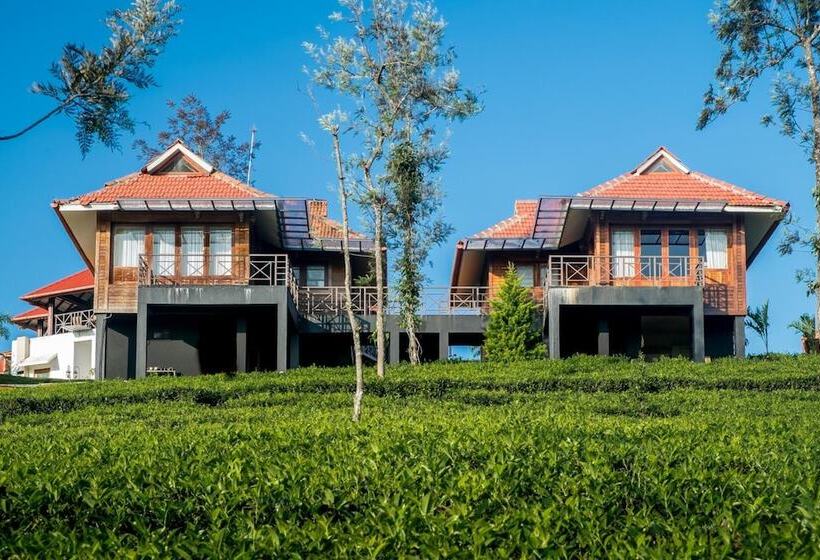 酒店 Wild Planet Resort